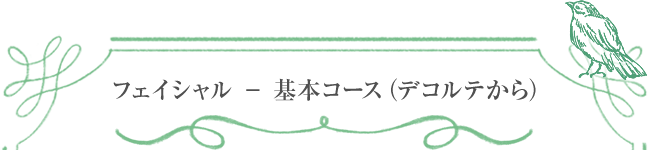 フェイシャル ― 基本コース（デコルテから）