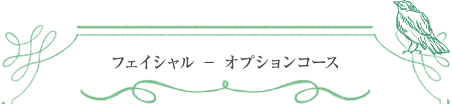 フェイシャル ― オプションコース